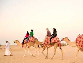 Desert Safari Tours